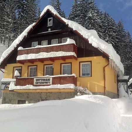 Pension Vladimir Janske Lazne Exterior photo