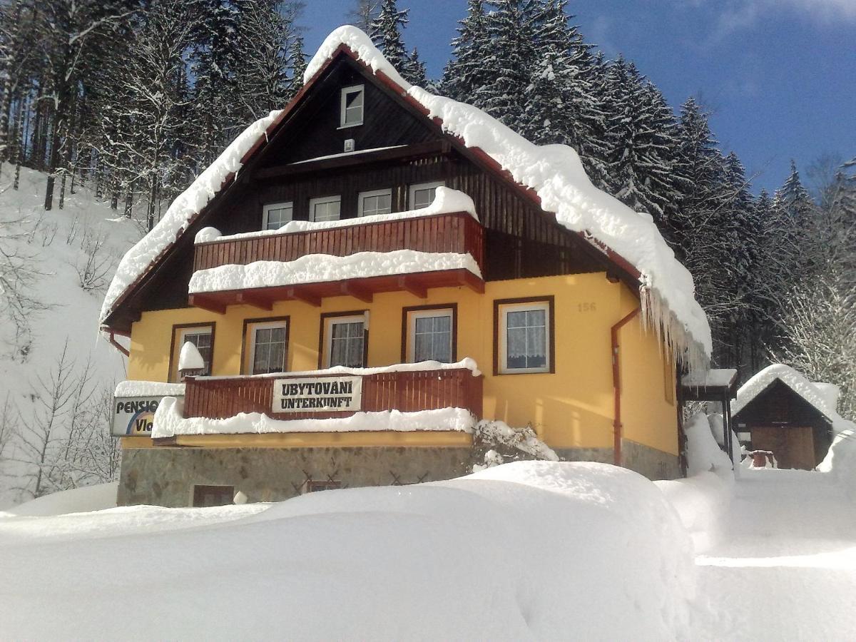 Pension Vladimir Janske Lazne Exterior photo